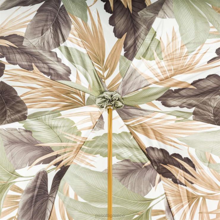 ομπρέλα | PASOTTI 189 55123-276 k32 - ομπρέλα ελέφαντα w 2N6B8493 γυναίκες